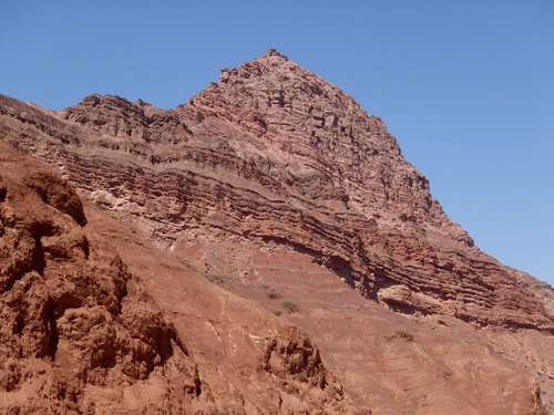 It is the red rock conglomerate that has the sea floor shells.